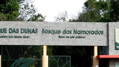 "Parque das Dunas - Bosque dos Namorados" localizada em Natal, RN. Este parque é uma área de preservação ambiental importante na região, sendo um destino popular para caminhadas e atividades ao ar livre.