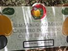 Placa de boas-vindas ao maior cajueiro do mundo, localizada na Praia de Pirangi do Norte, no Rio Grande do Norte, Brasil. A mensagem incentiva os visitantes a cuidarem bem da árvore, uma atração turística famosa na região.