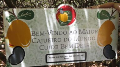 Placa de boas-vindas ao maior cajueiro do mundo, localizada na Praia de Pirangi do Norte, no Rio Grande do Norte, Brasil. A mensagem incentiva os visitantes a cuidarem bem da árvore, uma atração turística famosa na região.